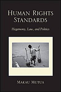 Human Rights Standards: Hegemony, Law, and Politics (Paperback)
