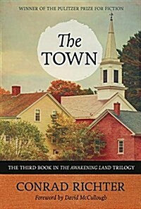 The Town: Volume 31 (Paperback)