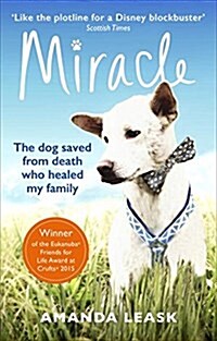Miracle (Paperback)