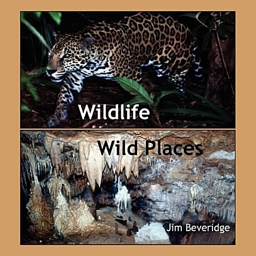 Wildlife-Wild Places (Paperback)