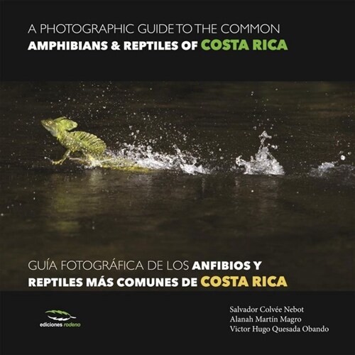 A Photographic Guide of the Common Amphibians & Reptiles of Costa Rica/ Gu? Fotogr?ica de Los Anfibios Y Reptiles M? Comunes de Costa Rica (Hardcover)