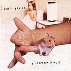 [수입] Sonic Youth - A Thousand Leaves [Back To Black Series][180g 2LP]