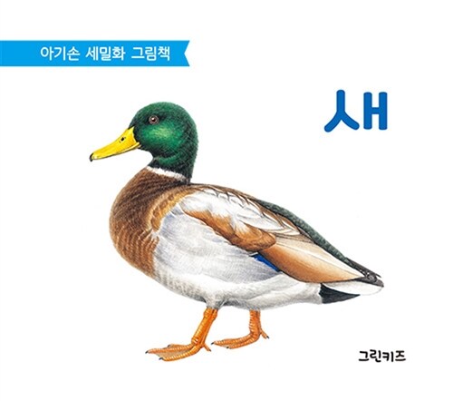 아기손 세밀화 그림책 : 새