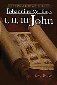 I, II, III John: A Literary Commentary on the Books of John (Paperback)