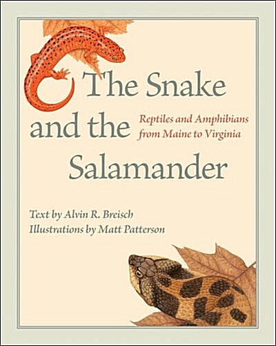 The Snake and the Salamander: Reptiles and Amphibians from Maine to Virginia (Hardcover)