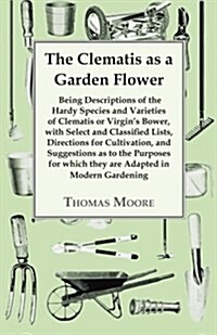 The Clematis as a Garden Flower (Paperback)