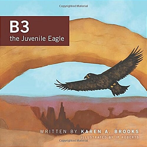 B3 the Juvenile Eagle (Paperback)