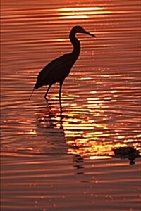 Wading Bird at Sunset Journal: 150 Page Lined Notebook/Diary (Paperback)