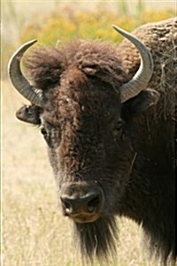 Say Hello to the American Bison Journal: 150 Page Lined Notebook/Diary (Paperback)