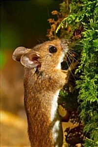 Wood Mouse (Apodermus Sylvaticus) Journal: 150 Page Lined Notebook/Diary (Paperback)