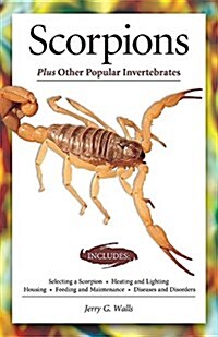 Scorpions (Advanced Vivarium Systems) (Paperback)