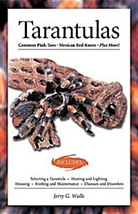 Tarantulas (Advanced Vivarium Systems) (Paperback)