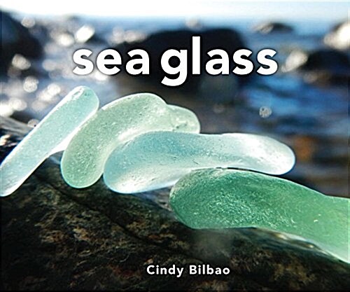 Sea Glass (Hardcover, 2, Revised and Upd)