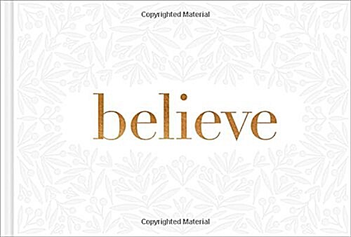 Believe -- A Gift Book for the Holidays, Encouragement, or to Inspire Everyday Possibilities (Hardcover, 2)