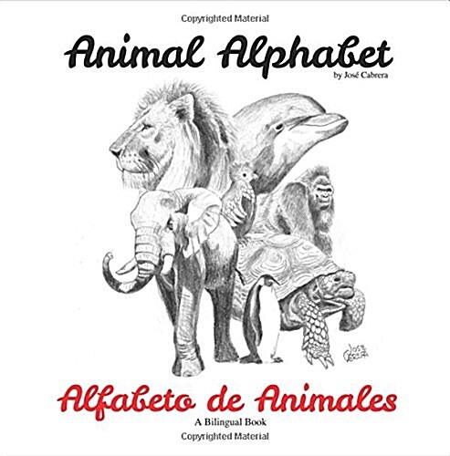 Animal Alphabet (Paperback, 1st)