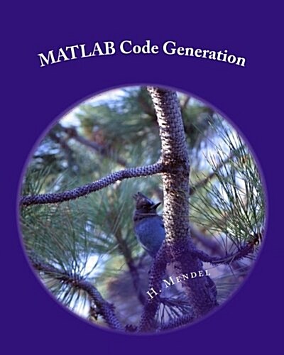 Matlab Code Generation (Paperback)