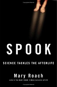 Spook: Science Tackles the Afterlife (Hardcover)