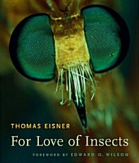 For Love Of Insects (Paperback)