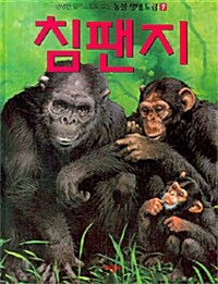 [중고] 침팬지
