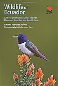 Wildlife of Ecuador: A Photographic Field Guide to Birds, Mammals, Reptiles, and Amphibians (Paperback)