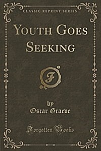 Youth Goes Seeking (Classic Reprint) (Paperback)