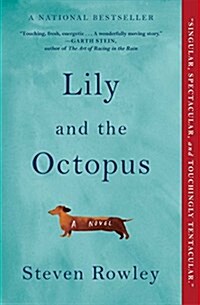 Lily and the Octopus (Paperback)