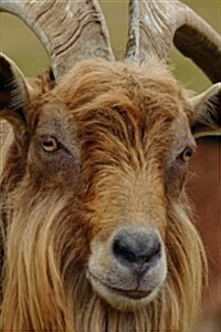 Profile of a Billy Goat Not Impressed: Blank 150 Page Lined Journal for Your Thoughts, Ideas, and Inspiration (Paperback)