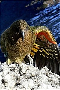 Kea Parrot in New Zealand, Birds of the World: Blank 150 Page Lined Journal for Your Thoughts, Ideas, and Inspiration (Paperback)