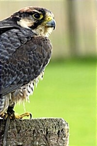 Lanner Falcon, Birds of the World: Blank 150 Page Lined Journal for Your Thoughts, Ideas, and Inspiration (Paperback)