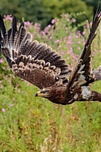 Steppe Eagle in Flight, Birds of the World: Blank 150 Page Lined Journal for Your Thoughts, Ideas, and Inspiration (Paperback)