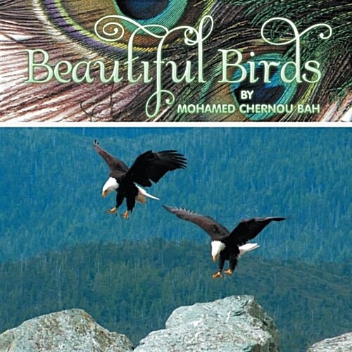 Beautiful Birds (Paperback)