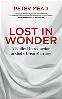 Lost in Wonder : A Biblical Introduction to Gods Great Marriage (Paperback)