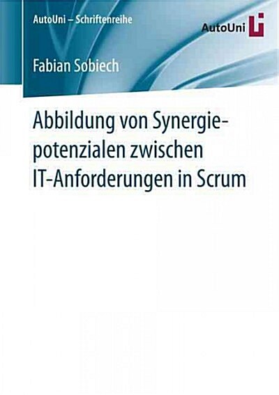 Abbildung Von Synergiepotenzialen Zwischen It-Anforderungen in Scrum (Paperback)