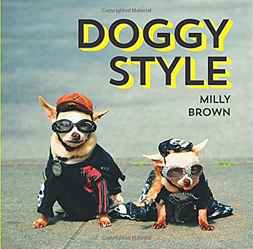 Doggy Style : The Cutest, Funniest and Silliest Haute-Couture Hounds (Hardcover)