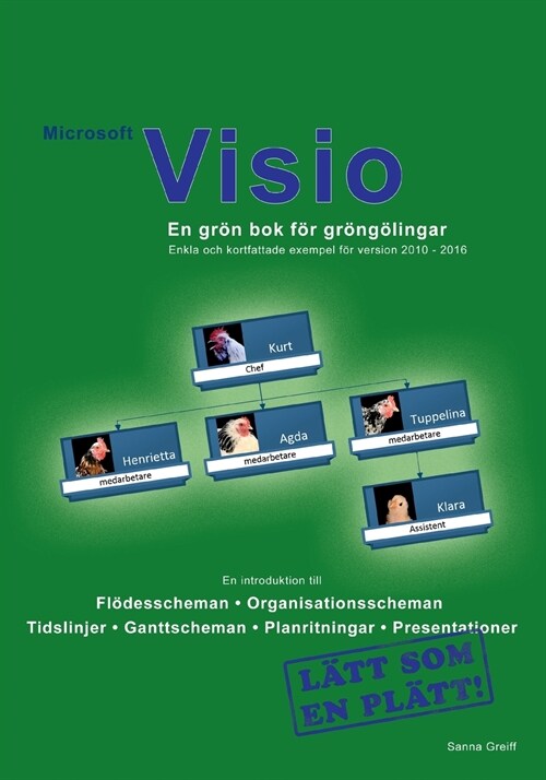 Microsoft Visio - En gr? bok f? gr?g?ingar: F? version 2010 - 2016 (Paperback)