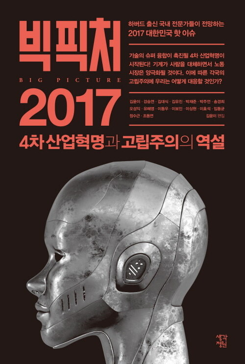 빅 픽처 2017