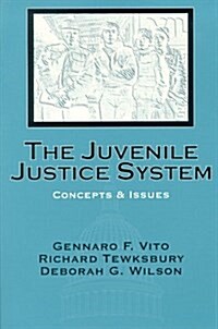 The Juvenile Justice System (Paperback)