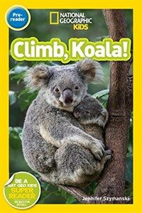 Climb, koala! 