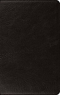 ESV Large Print Thinline Bible (Black) (Leather)