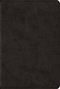 ESV Large Print Compact Bible (Trutone, Black) (Imitation Leather)