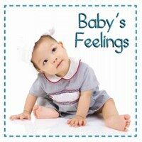 Babys Feelings (Board Books)