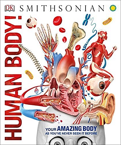 Knowledge Encyclopedia Human Body! (Hardcover)