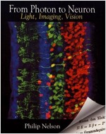 From Photon to Neuron: Light, Imaging, Vision (Paperback)