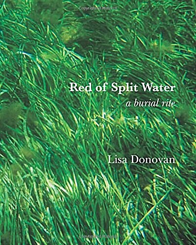 Red of Split Water (Paperback)