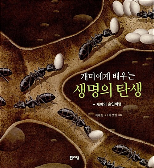 [중고] 개미에게 배우는 생명의 탄생