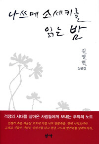 나쓰메 소세키를 읽는 밤 : 김영현 산문집