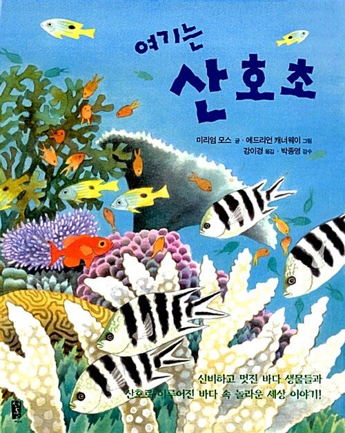 [중고] 여기는 산호초