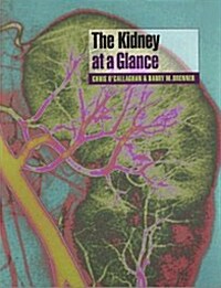 The Kidney at a Glance (Paperback)