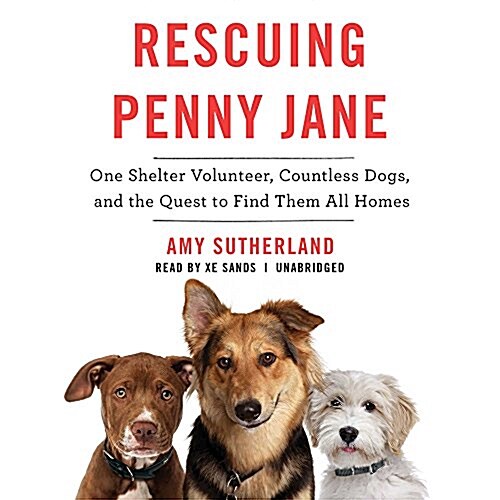 Rescuing Penny Jane Lib/E: One Shelter Volunteer, Countless Dogs, and the Quest to Find Them All Homes (Audio CD)