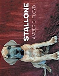 Stallone (Paperback)